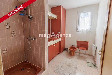 photo no. 12