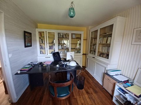 photo no. 12
