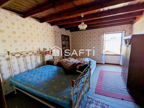 photo no. 10