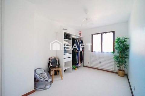 photo no. 12