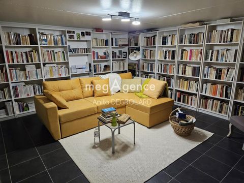 photo no. 11