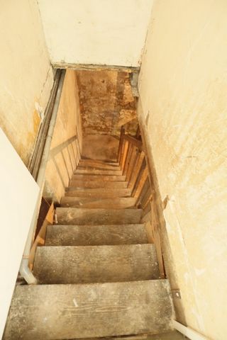 photo no. 9