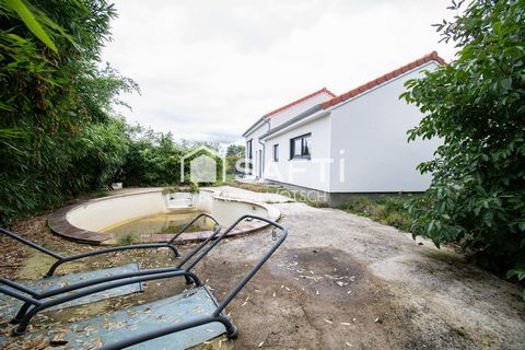 photo no. 11