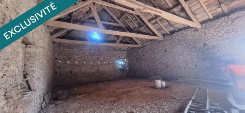 photo no. 10