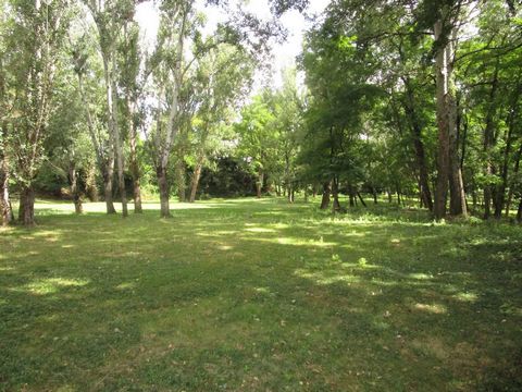 photo no. 2
