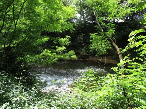 photo no. 9