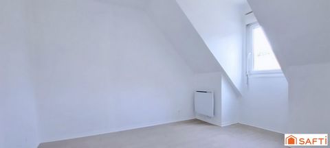 photo no. 11
