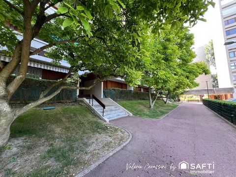 photo no. 11