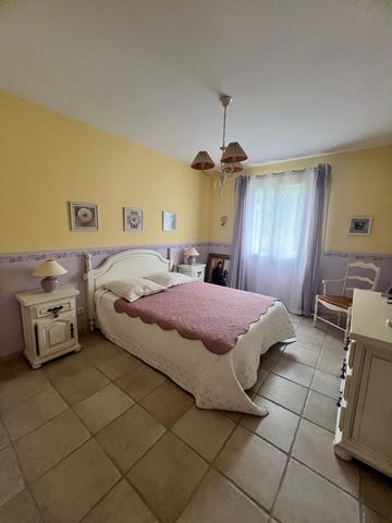 photo no. 12