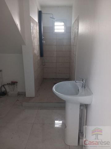 photo no. 2