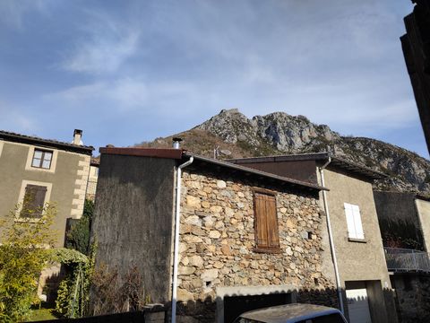 photo no. 3