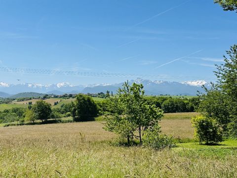 photo no. 1