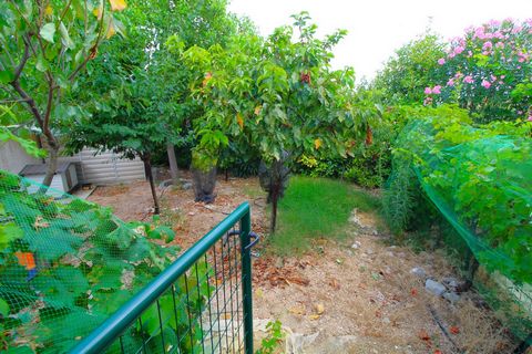 photo no. 18