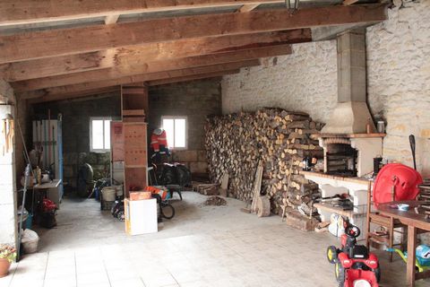photo no. 8