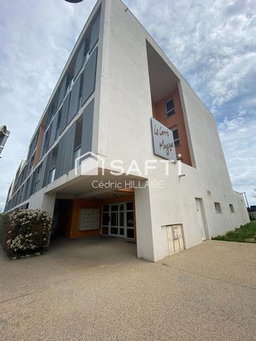 photo no. 2