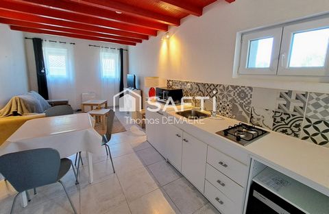 photo no. 16