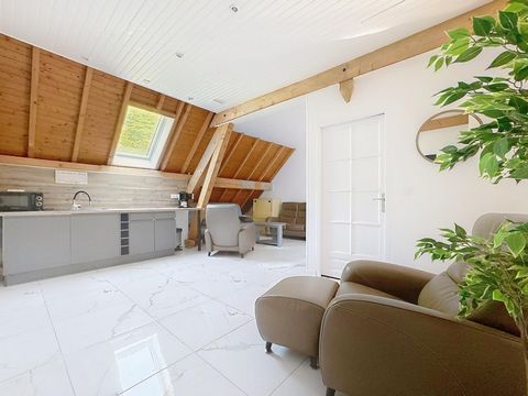 photo no. 8
