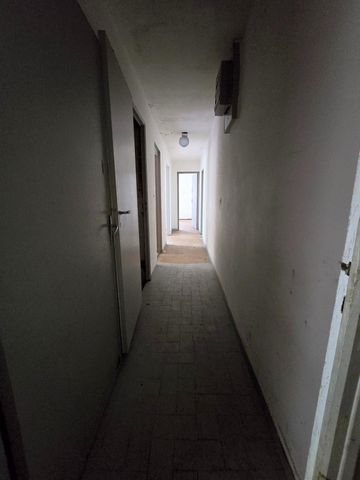 photo no. 16