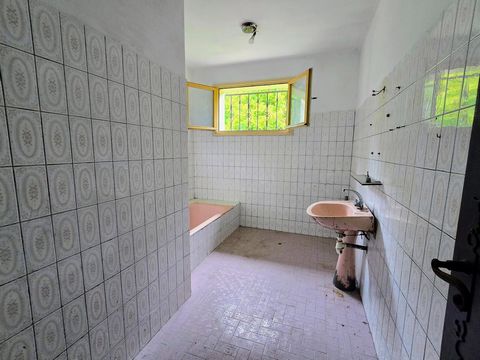 photo no. 18