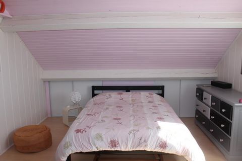 photo no. 8