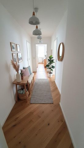 photo no. 11