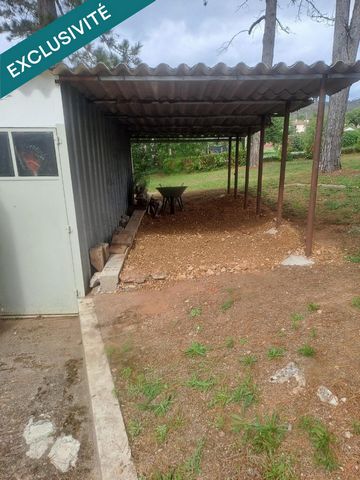 photo no. 14