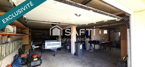photo no. 11