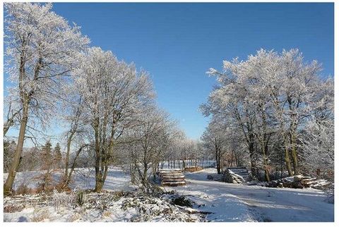 Appartement Goddelsbach op de begane grond (190 m²) beschikt over vijf slaapkamers met tweepersoonsbedden en twee extra bedden en biedt daarmee plaats aan 10-12 personen. De woon-/eetkamer (ca. 50 m²) met aangrenzende keuken zal niet krap aanvoelen. ...