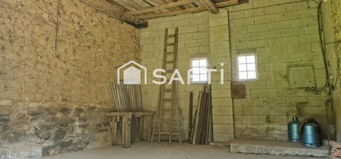 photo no. 11
