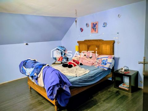 photo no. 8