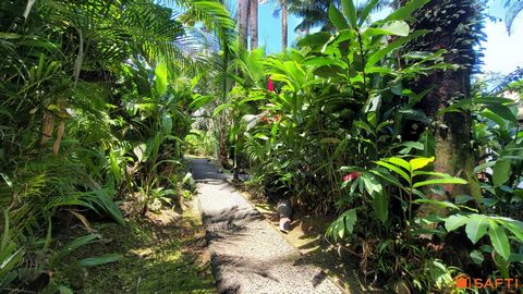 photo no. 12