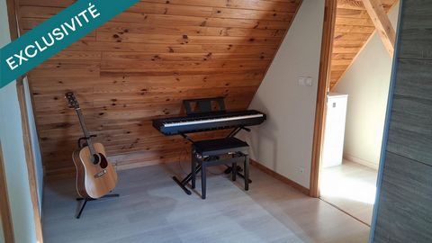 photo no. 11
