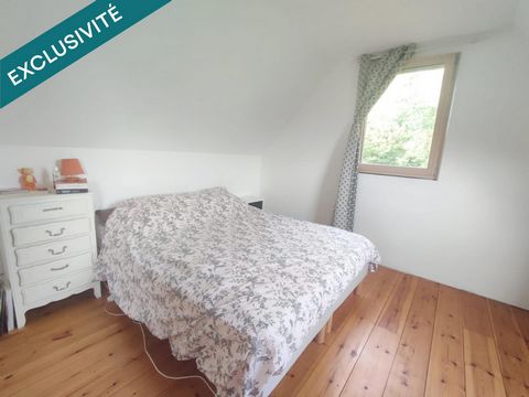 photo no. 13