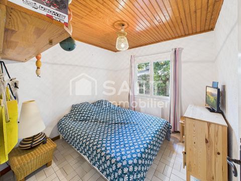 photo no. 14