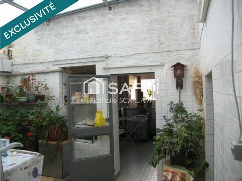 photo no. 6