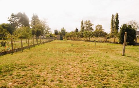 photo no. 13