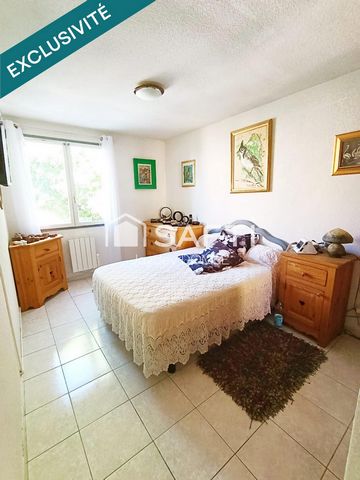 photo no. 12