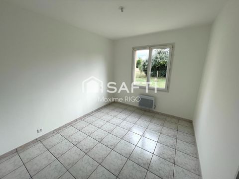 photo no. 6