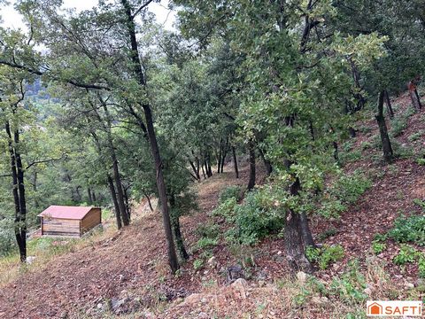 photo no. 10