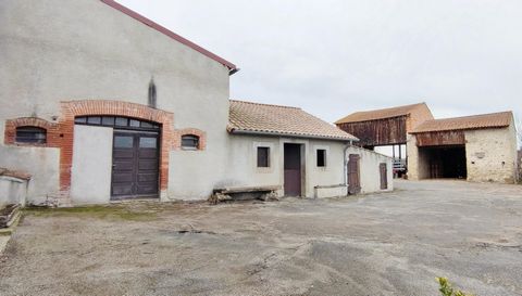 photo no. 15