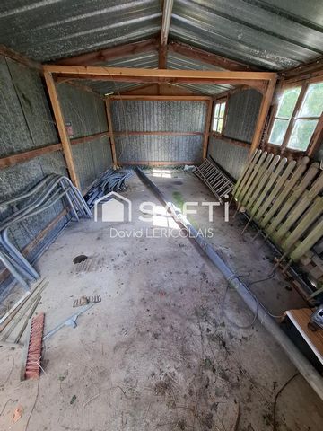photo no. 14