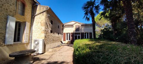 photo no. 16