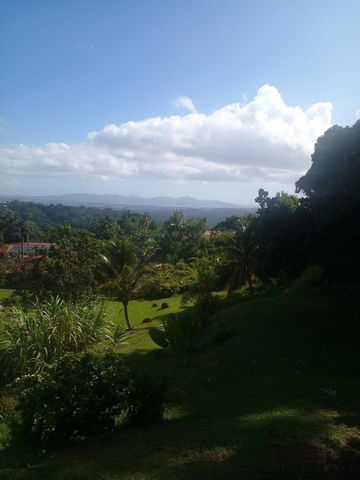 photo no. 2
