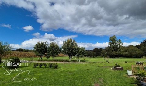 photo no. 16