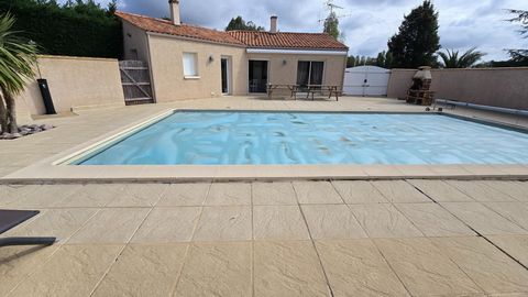 photo no. 13