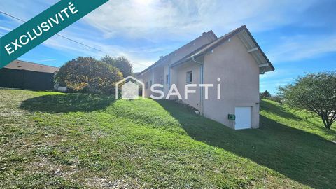 photo no. 13