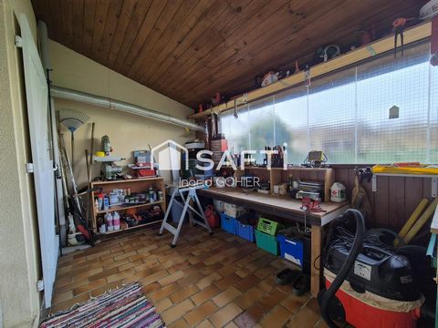 photo no. 12