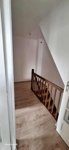 photo no. 12