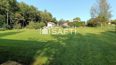 photo no. 15