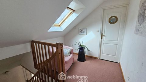 photo no. 13